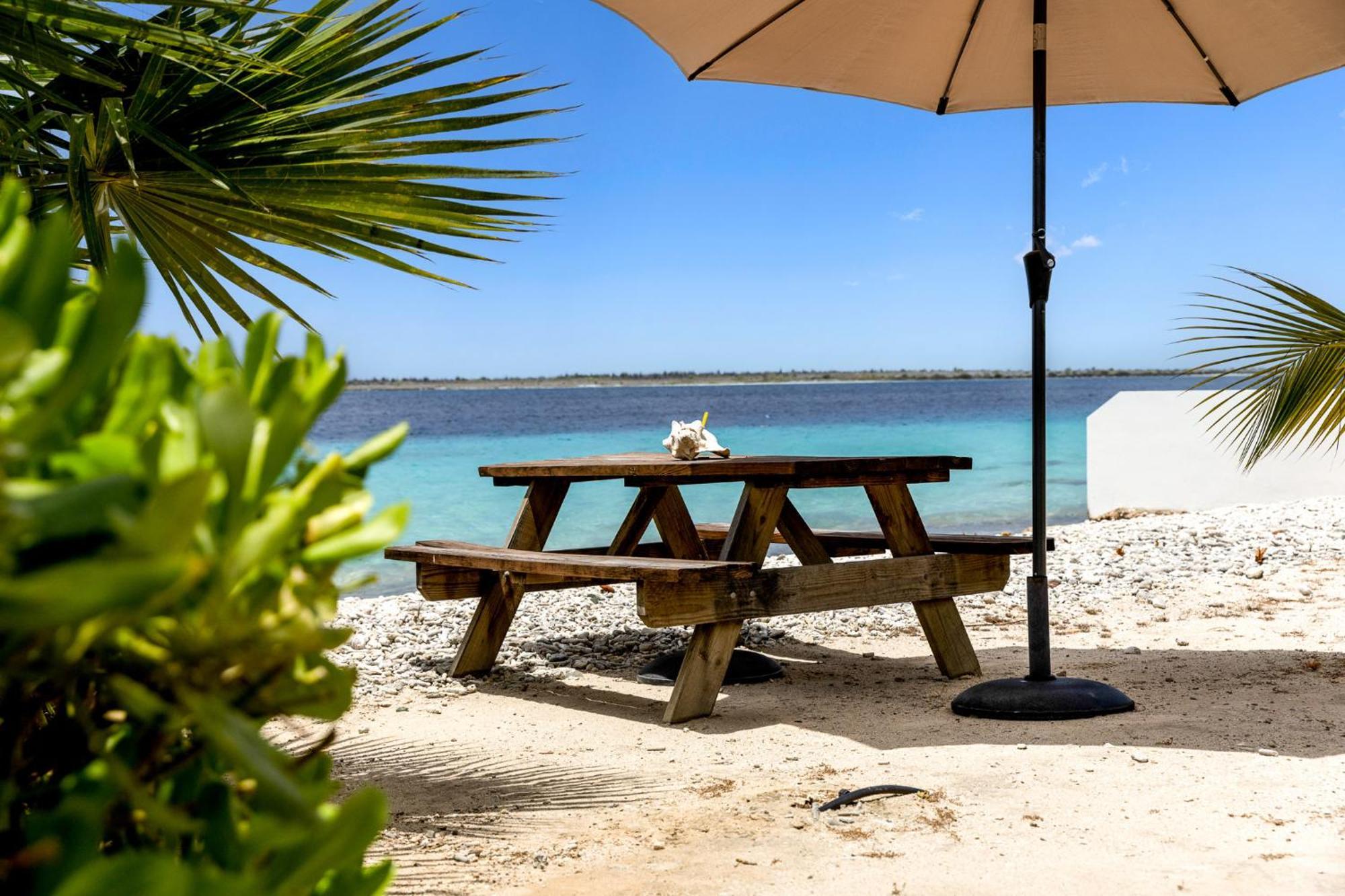 Oceanfront - Villa Port Of Call - Kralendijk na wyspie Bonaire Zewnętrze zdjęcie