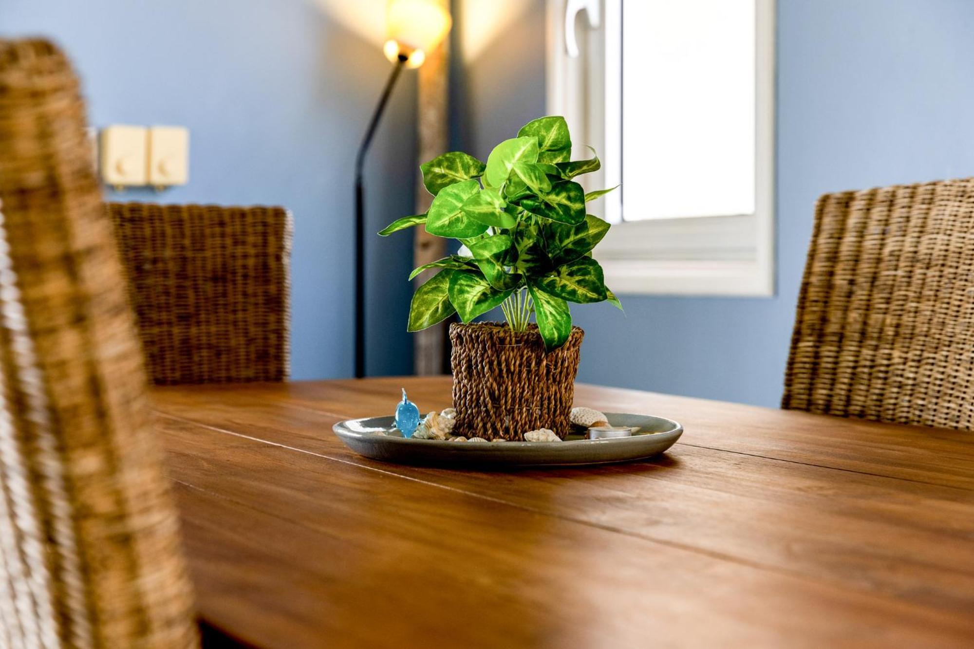 Oceanfront - Villa Port Of Call - Kralendijk na wyspie Bonaire Zewnętrze zdjęcie